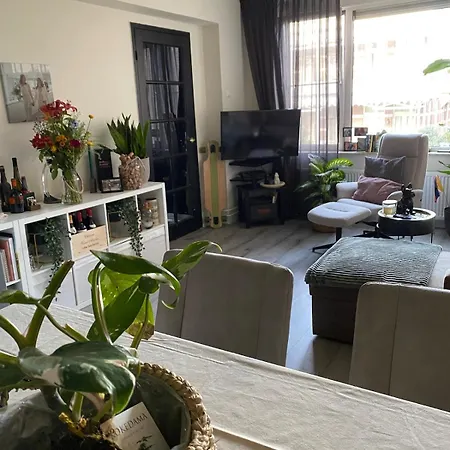 The Scheveningse Meisjes Apartamento